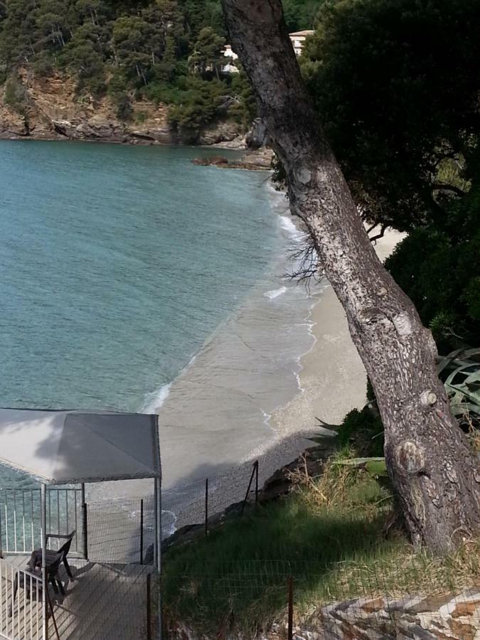 Villa Adriandre Le Le Rayol-Canadel-sur-Mer Exterior foto